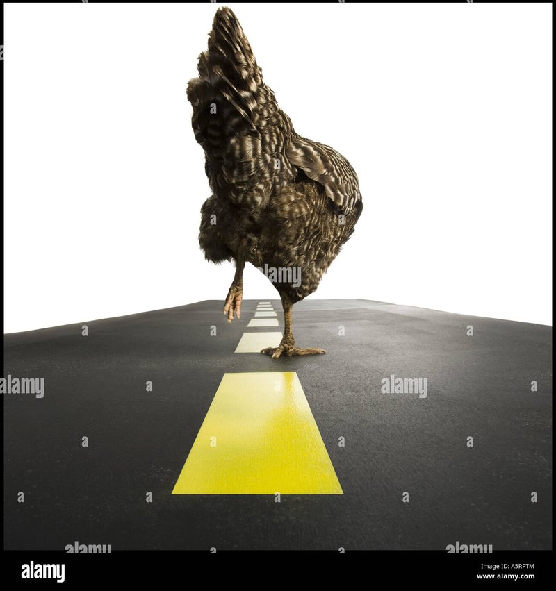 Descubre el Juego de Azar Exclusivo de Chicken Road 2 en España in Spain