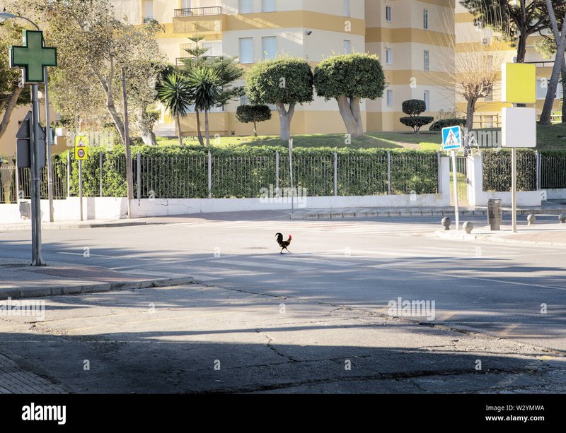 Spain - chicken road 2 casino