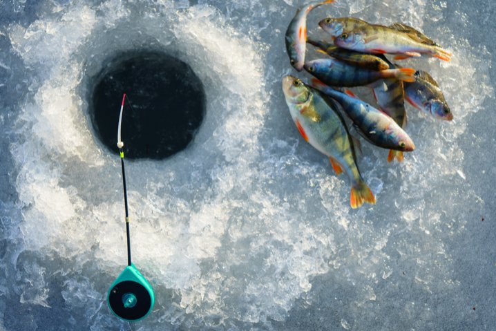 Ice fishing game - Experience the Thrill of Ice Fishing in the UK's Live Casino Scene